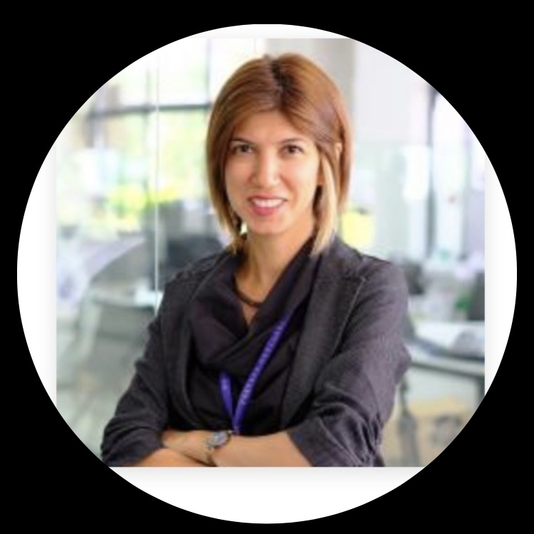 Lecturer Image